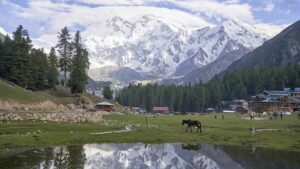 fairy meadows 2