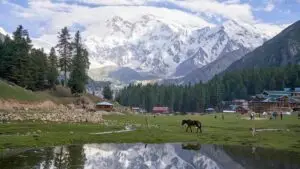 fairy meadows 2