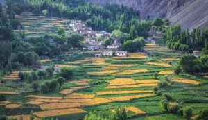 skardu